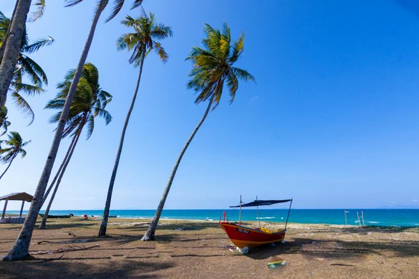 Est-ce que les visites guidées valent le coup financièrement ?