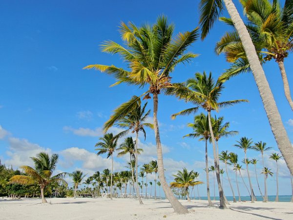 Top hôtels économiques à paris offrant wifi gratuit